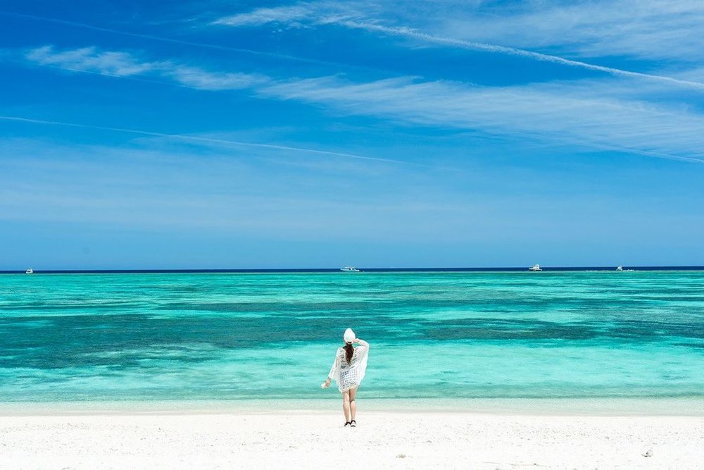 Plan your visit to Nagannu Island in Okinawa