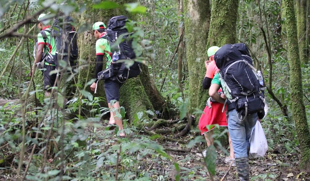 Tour Phiêu Lưu Đi Trek Núi Langbiang Ở Đà Lạt