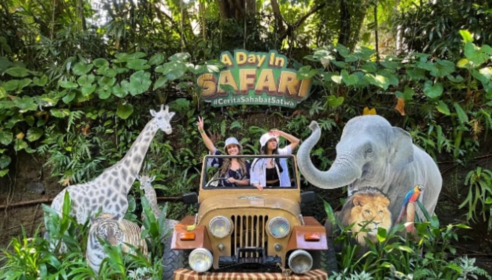 Bali Safari