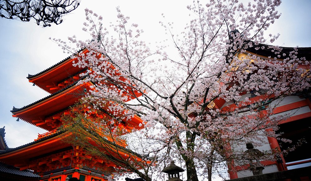 Đền Asakusa Ung - Tokyo 