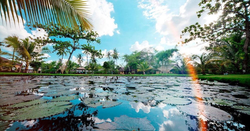 Nên Chọn Khu Du Lịch Văn Thánh Hay Làng Du Lịch Bình Quới?