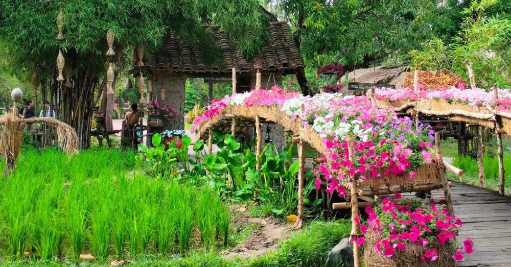 Khu Du Lịch Bình Quới 1