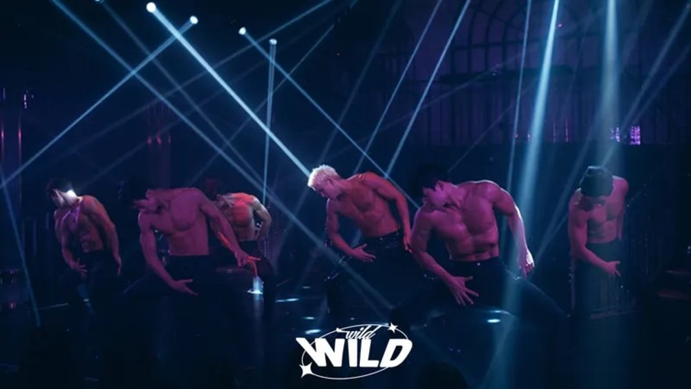 首尔 Wild Wild《Dream》猛男秀门票