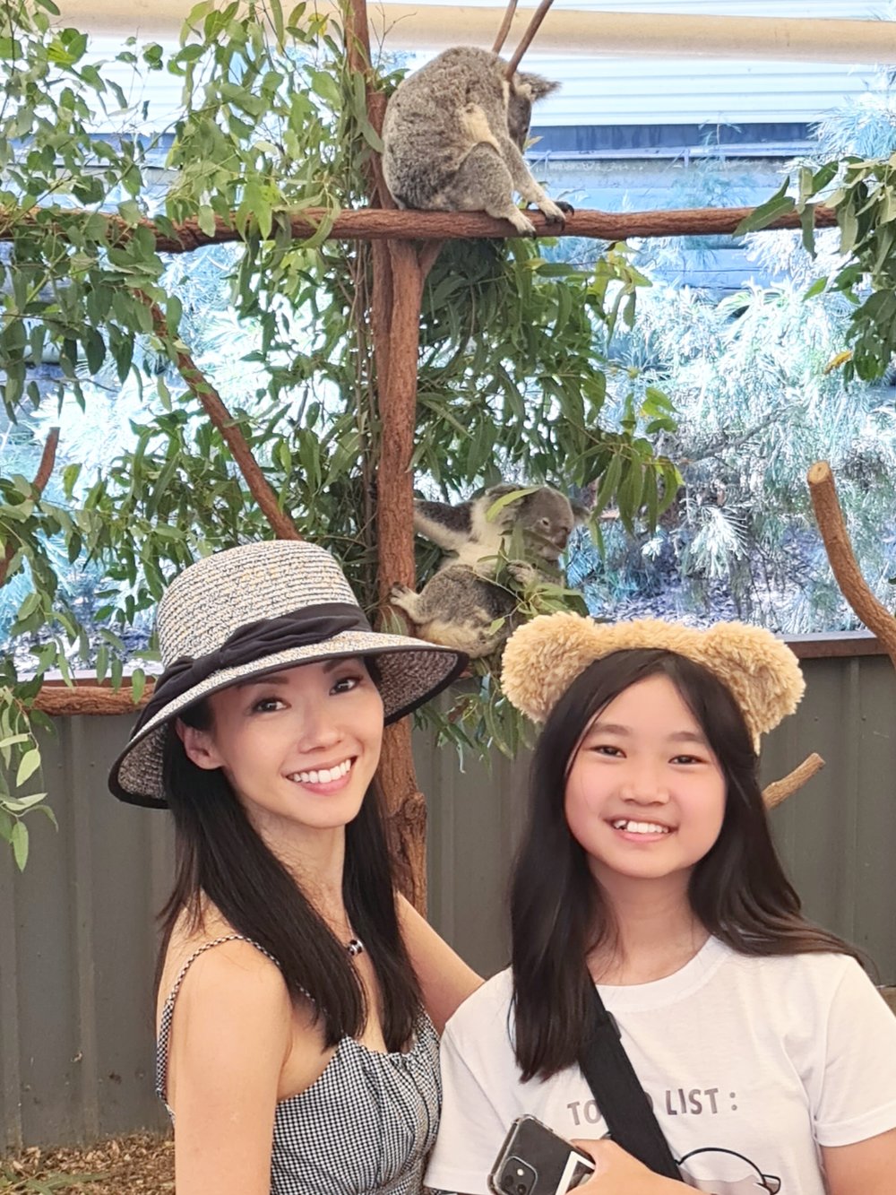 lone pine koala sanctuary