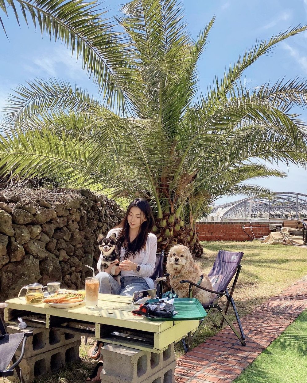 9 MustVisit Cafes In Jeju Visit These Instagrammable Coffee Shops On