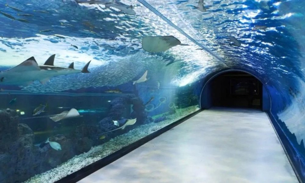 济州岛 Aqua Planet 水族馆