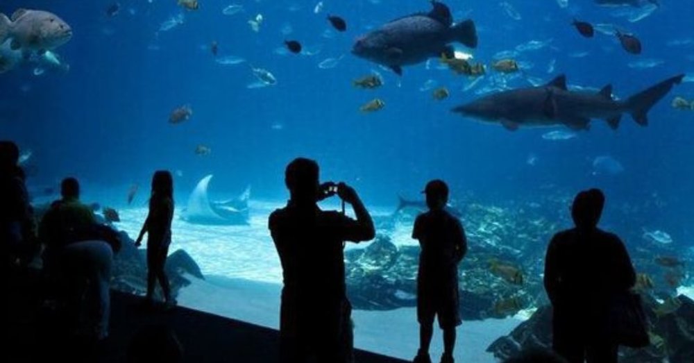 du-lich-tu-tuc-singapore-malaysia-4-ngay-3-dem