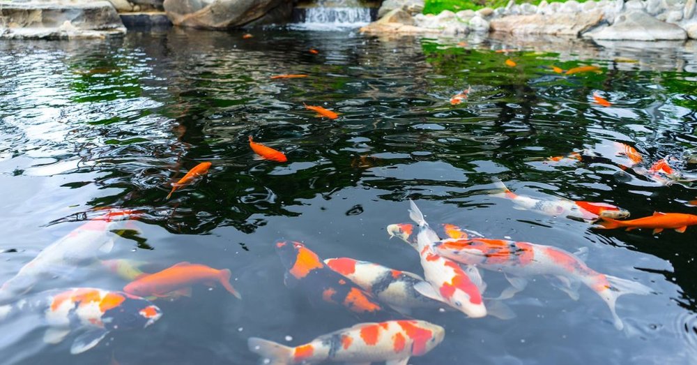 khu-du-lich-la-phong