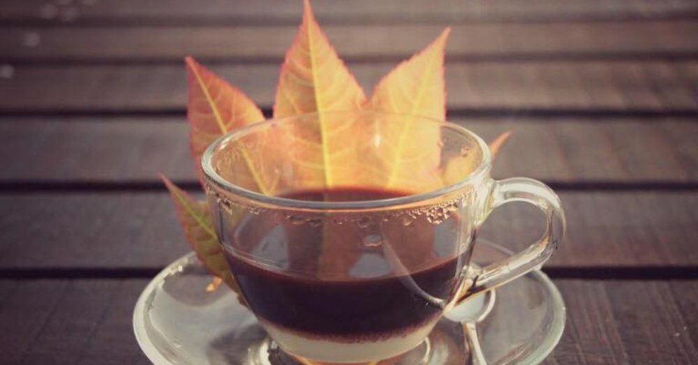 khu-du-lich-la-phong