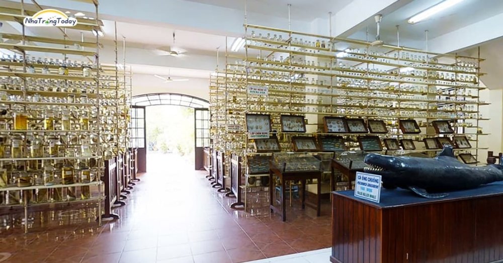 Tham Quan Khu Đa Dạng Sinh Vật Biển