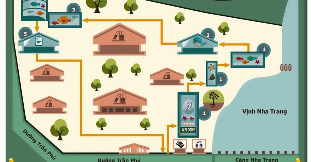 kham-pha-vien-hai-duong-hoc-nha-trang