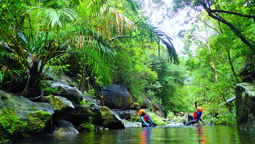 Two people surrounded by nature