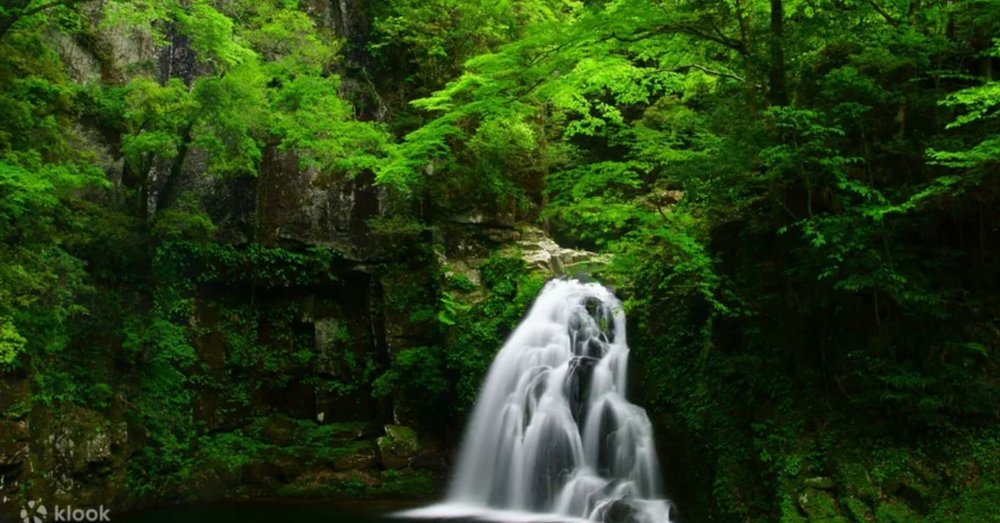 Thác Nước Akame 48