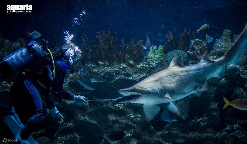 dia-diem-du-lich-malaysia