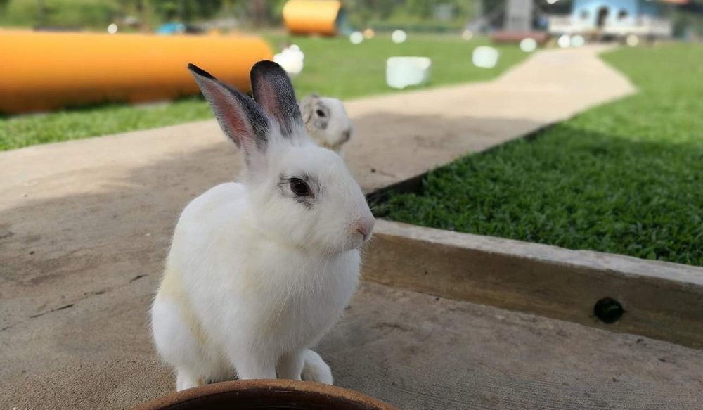 dia-diem-du-lich-malaysia