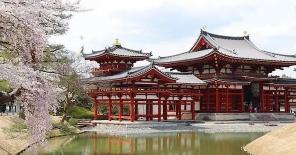 vi-vu-uji-thien-duong-cua-matcha