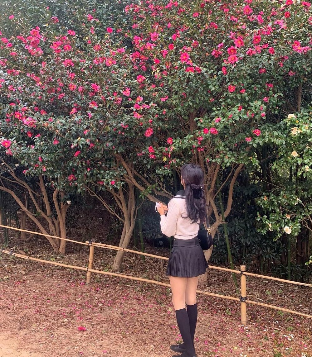 Dongbaek Island IG worthy spot in Busan