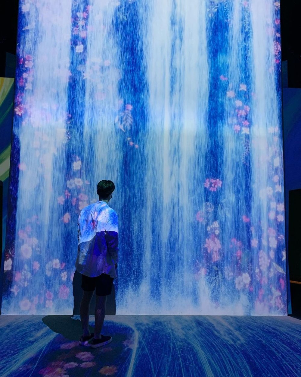 Cabinet de Poisson aesthetic location in Busan