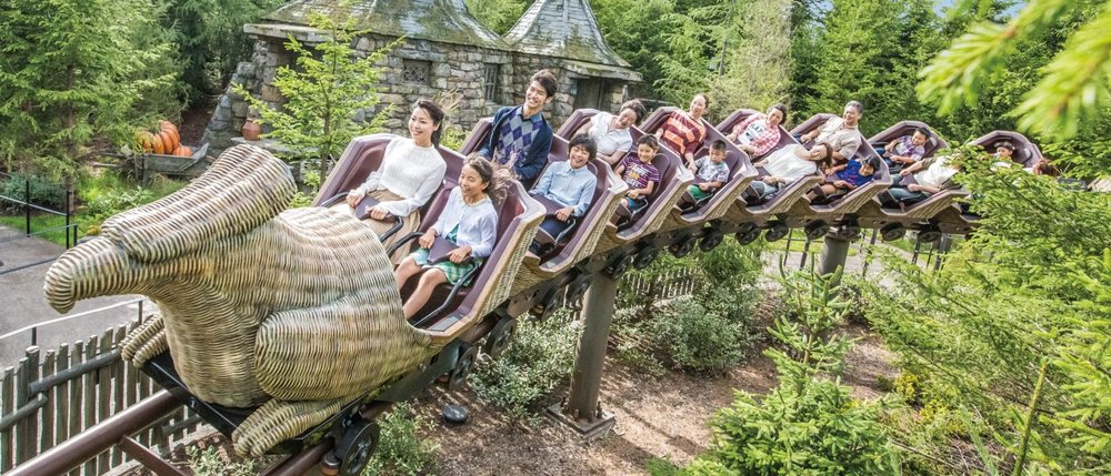 Tourist riding a roller coaster