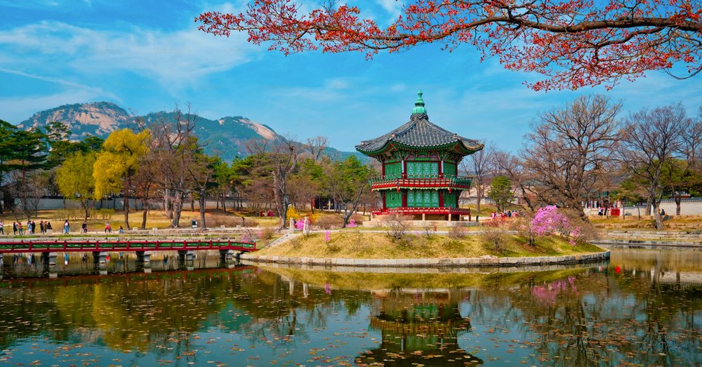 Review Du Lịch Hàn Quốc 7 Ngày 6 Đêm Tự Túc Chi Tiết