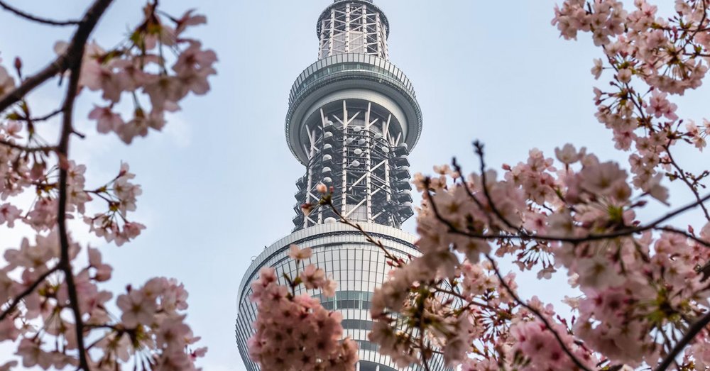 Lịch Trình Du Lịch Hàn Quốc 7 Ngày 6 Đêm