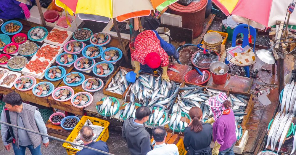 kinh nghiệm đi Hàn Quốc 7 ngày 6 đêm