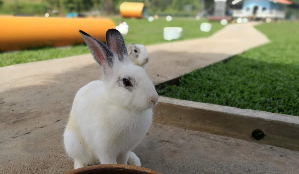 tour-du-lich-malaysia