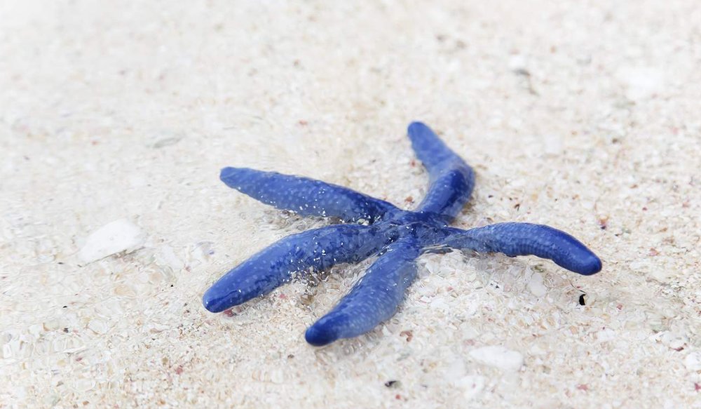 tour-du-lich-malaysia