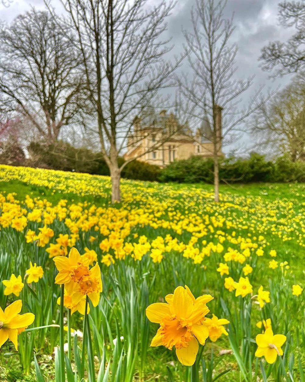 Waddesdon Manor in Buckinghamshire filming location of Queen Charlotte series