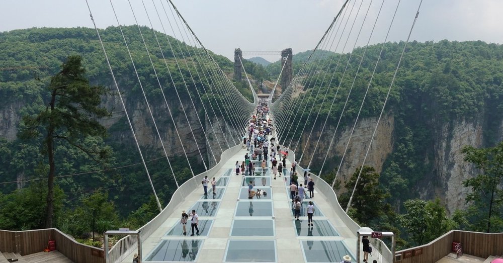 phuong-hoang-co-tran