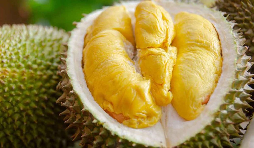 Sầu Riêng Đặc Sản Malaysia - Musang King