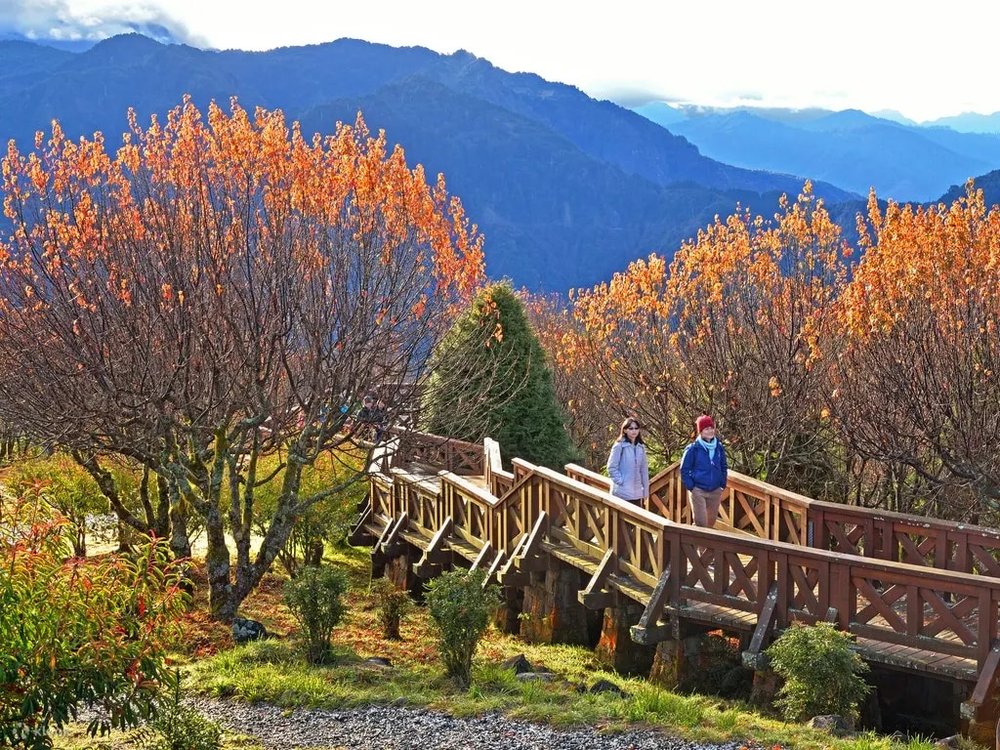 阿里山國家風景區