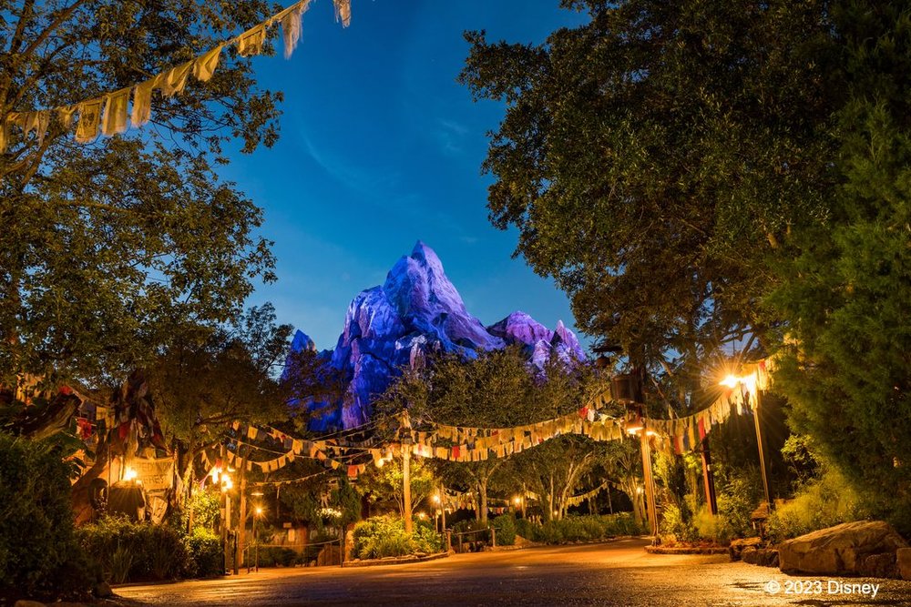 ディズニー・アニマルキングダム エクスペディション・エベレスト