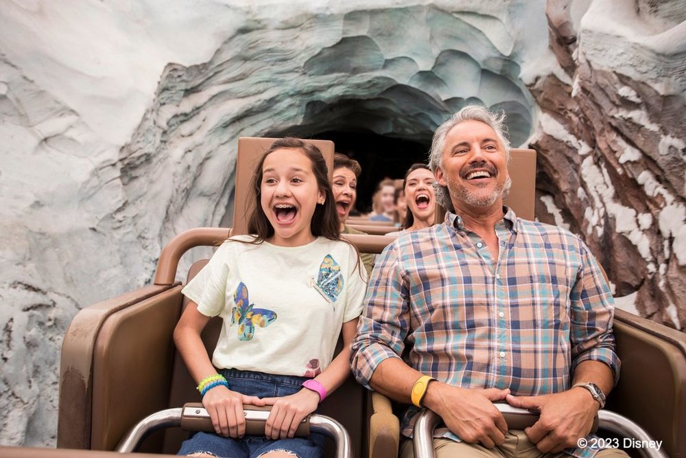 ディズニー・アニマルキングダム エクスペディション・エベレスト