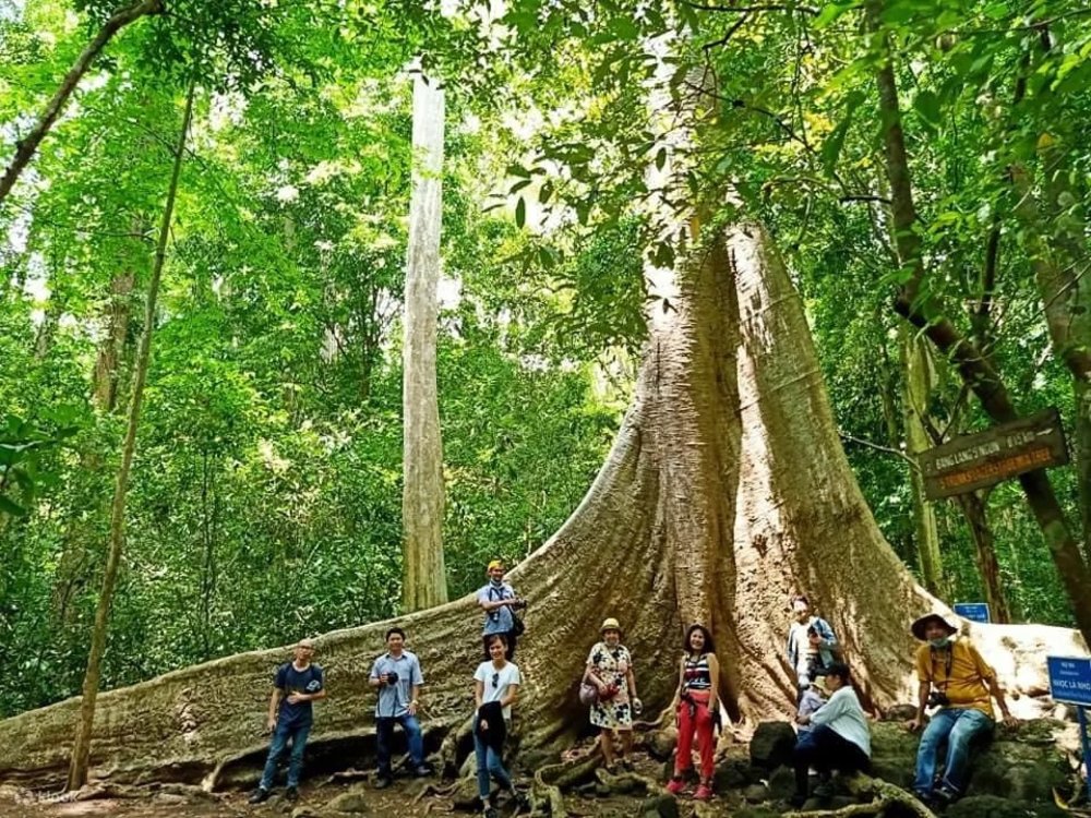 đi đâu chơi gần sài gòn