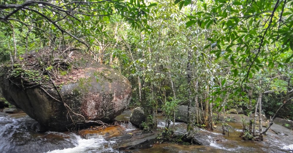 Đi Du Lịch Suối Tranh Mùa Nào Thì Đẹp?