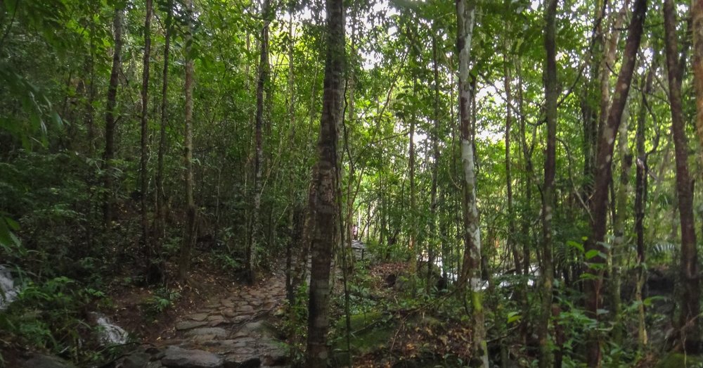 Trekking Khám Phá Núi Rừng