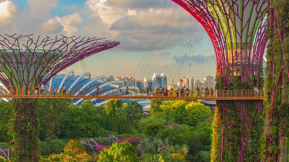 Super Tree Grove at Gardens by the Bay
