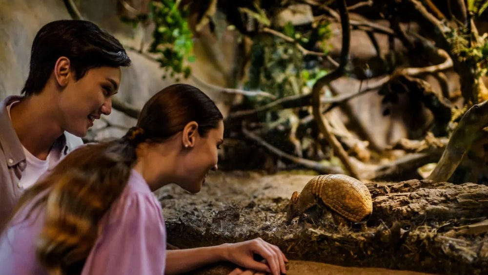 Night Safari at Singapore