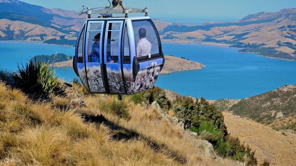 christchurch gondola