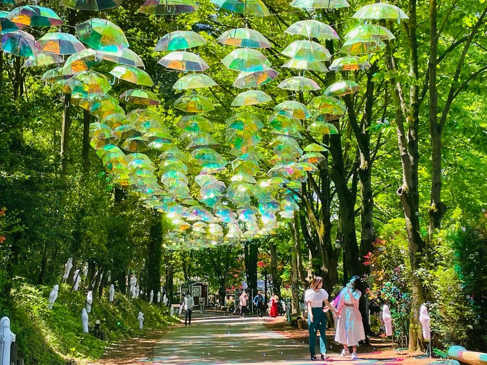 ムーミン谷とアンブレラ　2023 モデルあり 