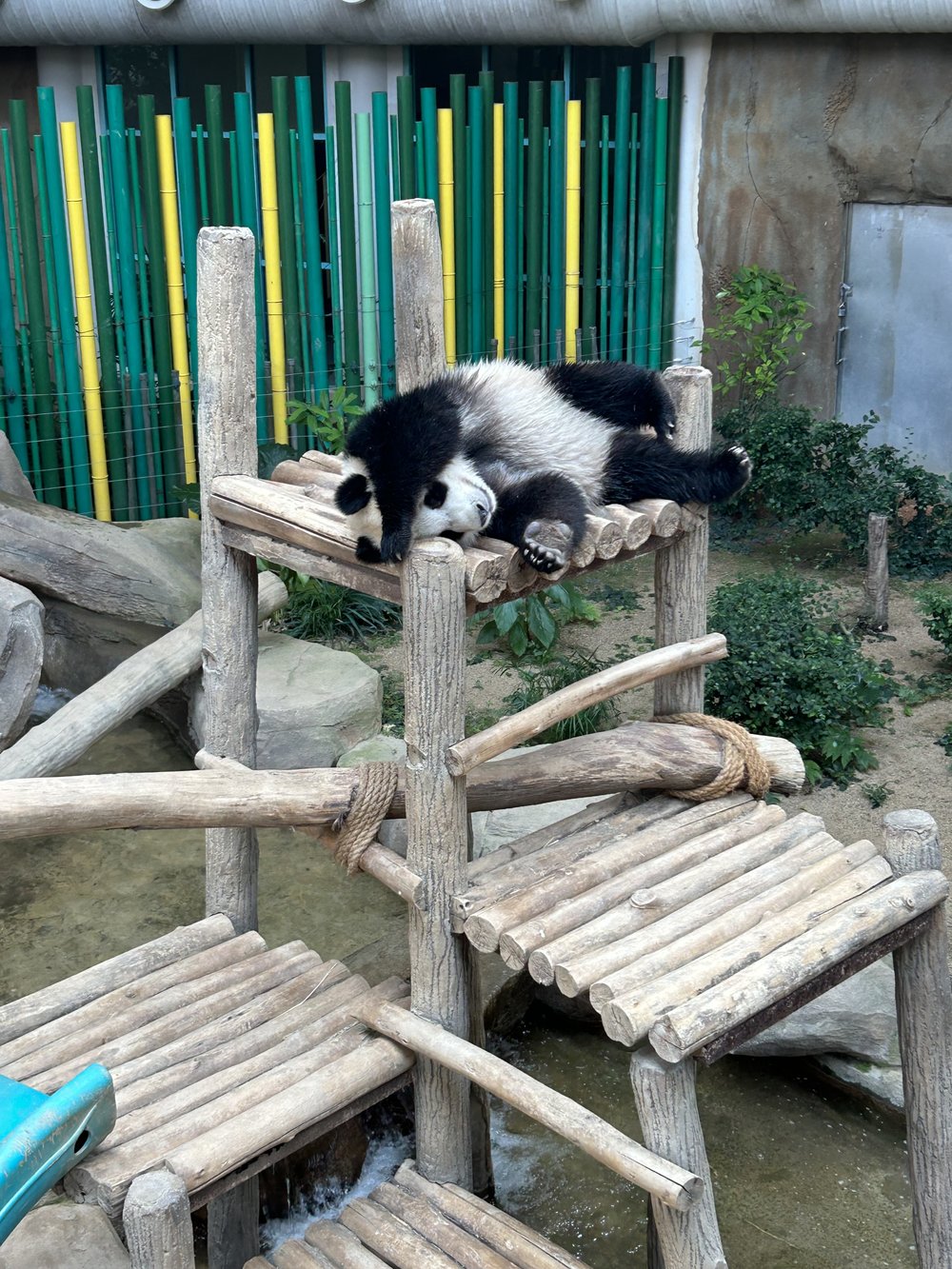 Budget-friendly School Holiday Activities - Zoo Negara