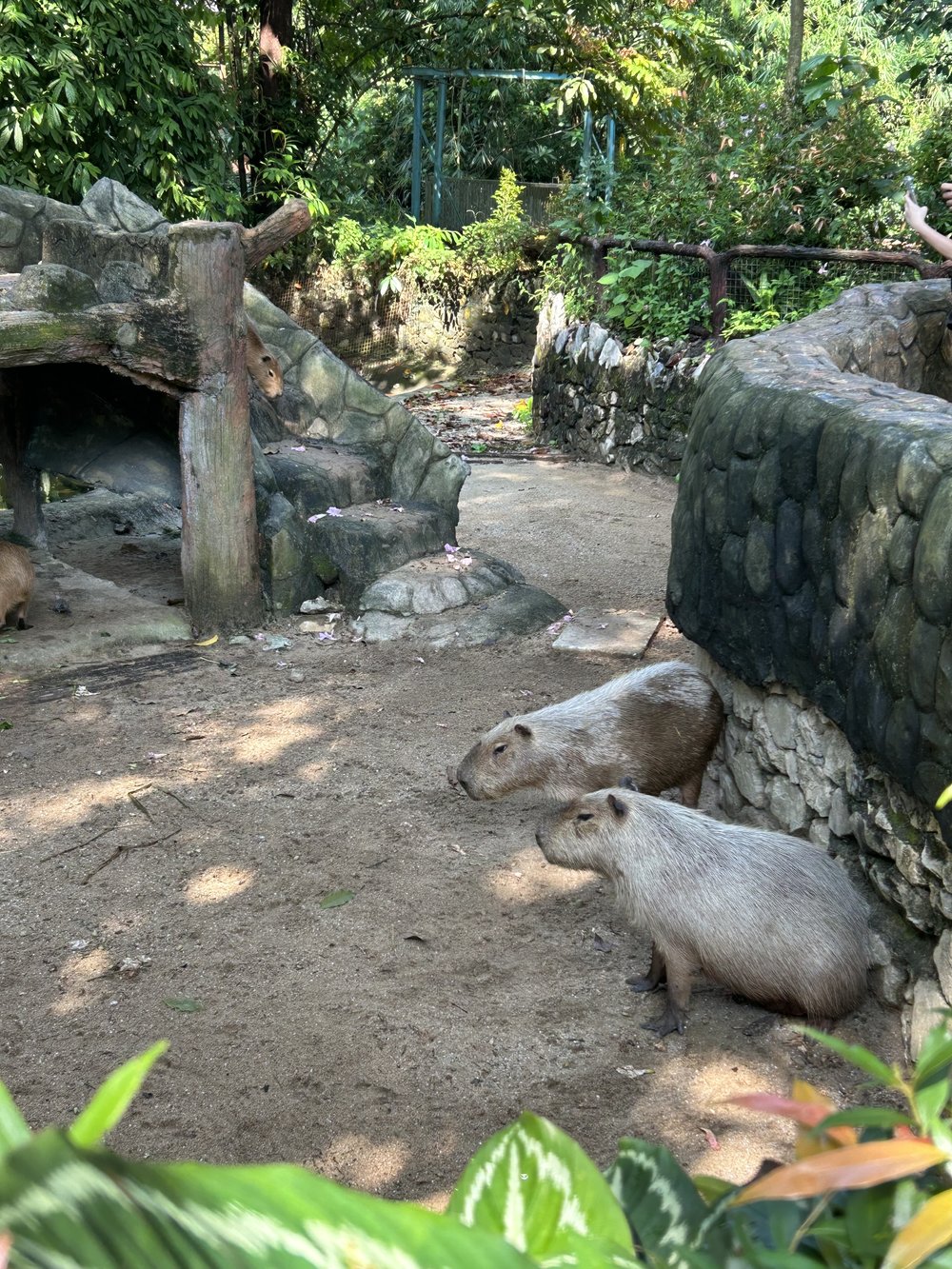 Budget-friendly School Holiday Activities - Zoo Negara