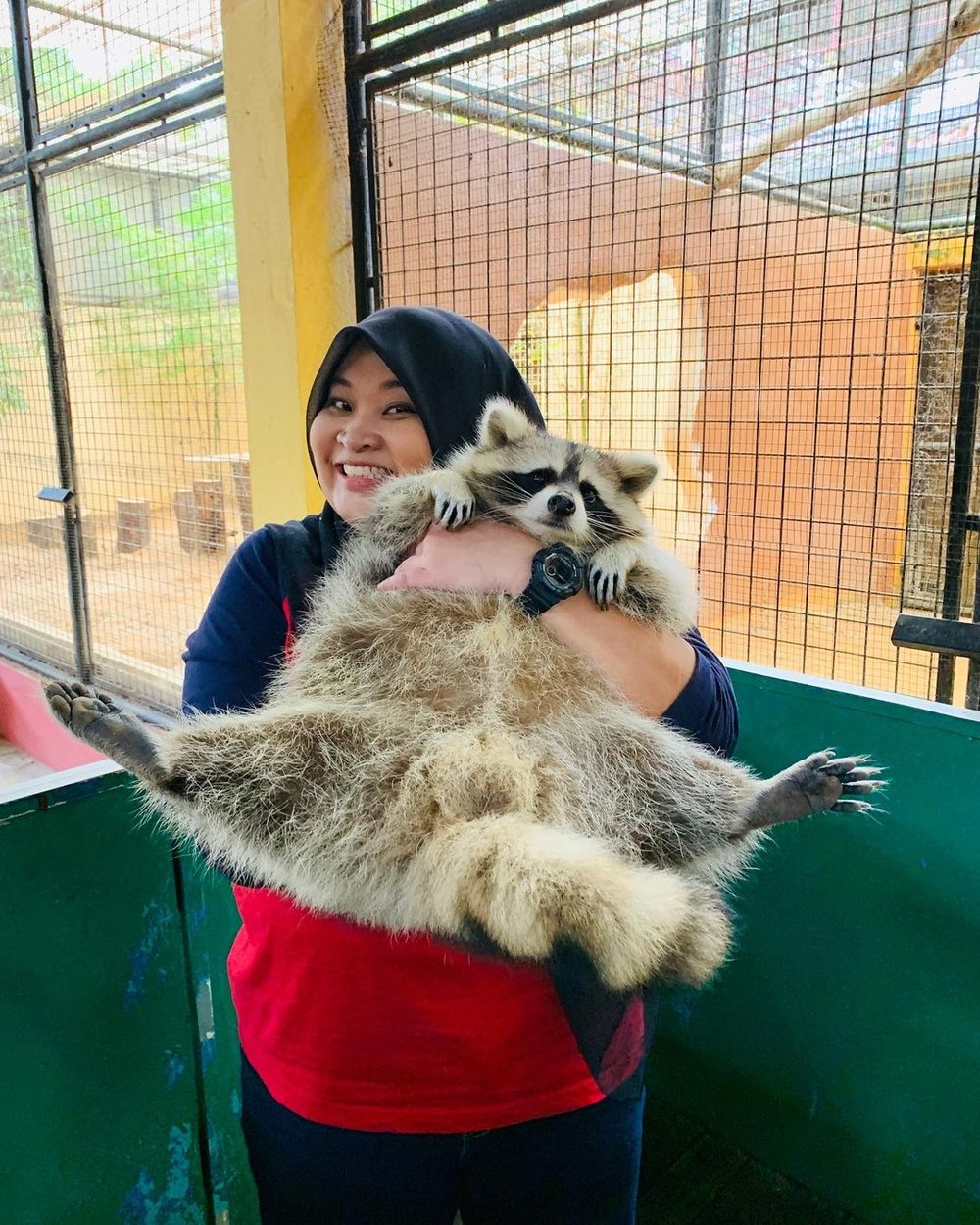 Budget-friendly School Holiday Activities - Langkawi Wildlife Park