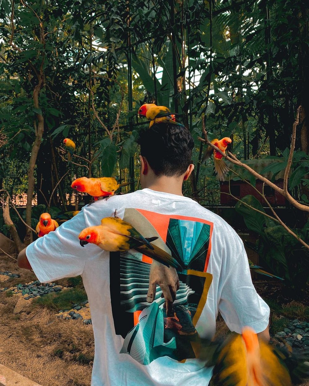 Budget-friendly School Holiday Activities - Langkawi Wildlife Park