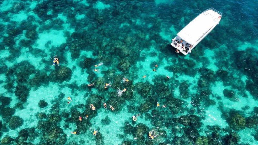 ดำน้ำที่เกาะพีพี