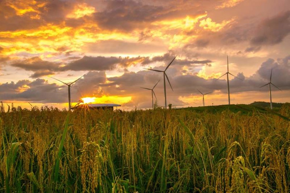 วิวที่เขาค้อยามเย็น