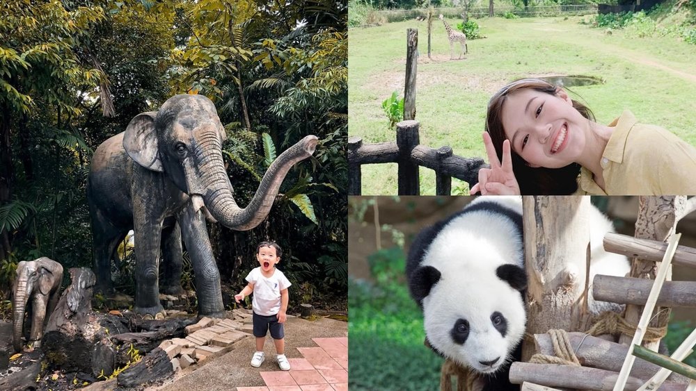 MY BM Zoo Negara Review