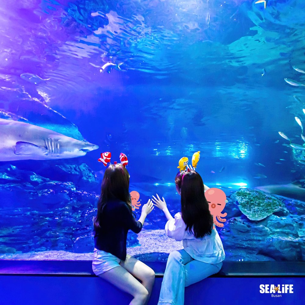 Bestfriends looking at the fishes