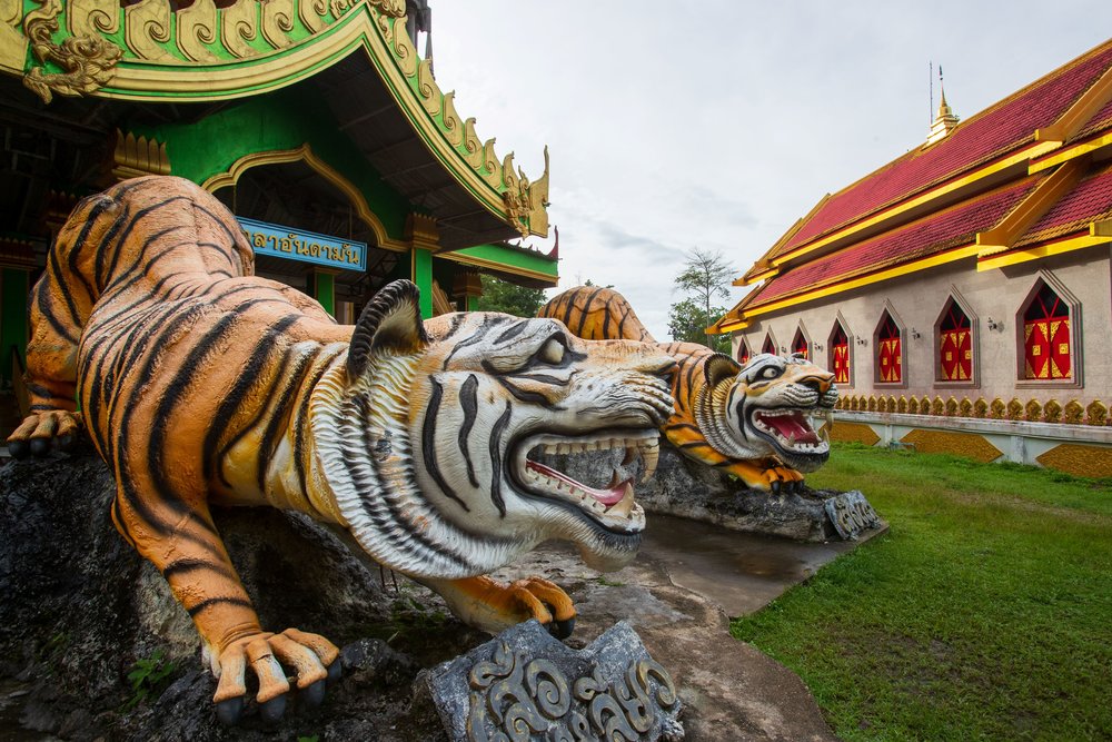 Tiger sculpture in Wat Tham Suea